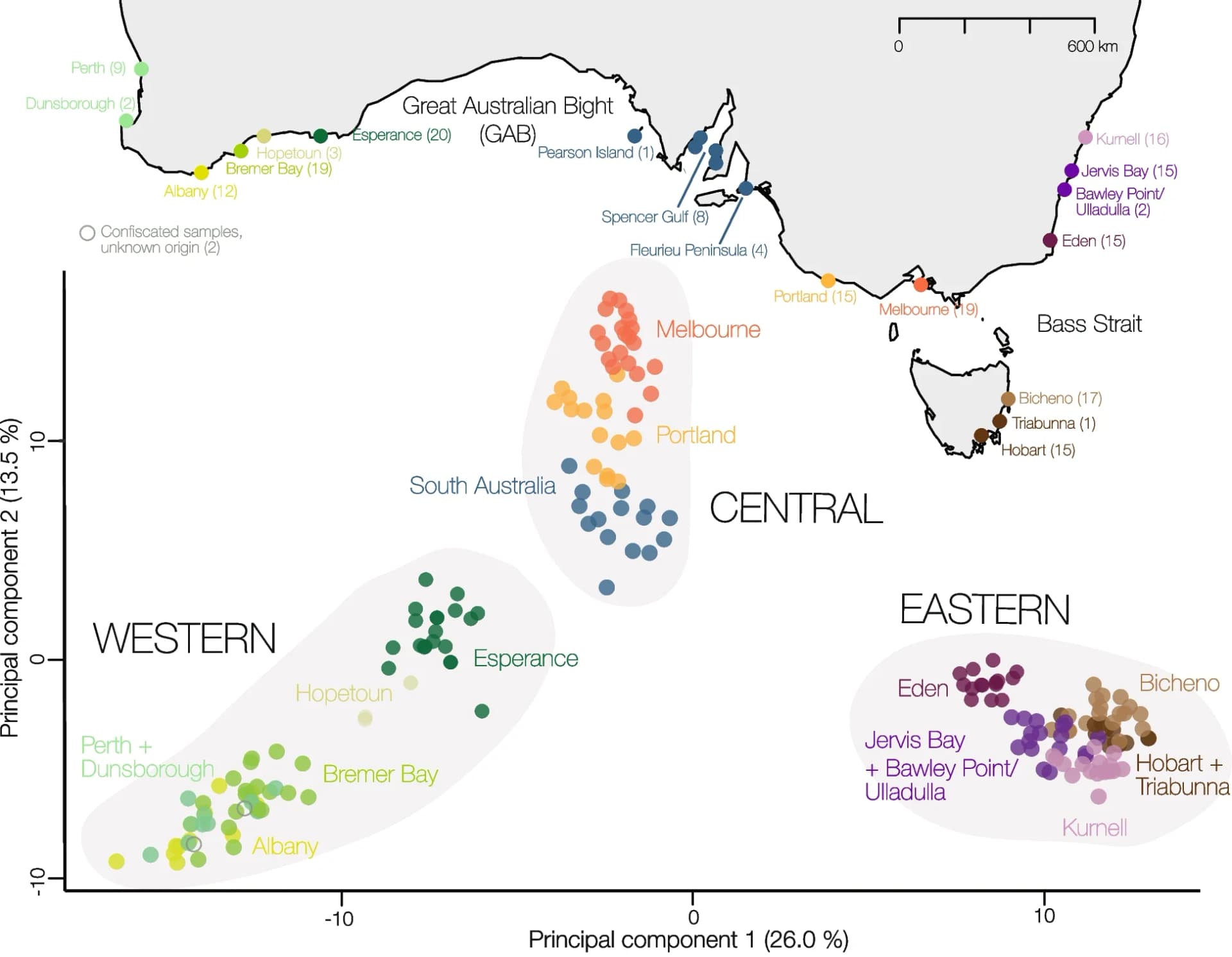 Open access visualization of Scatter Plot, PCA, Geo Map, Principal Component Analysis, SNP