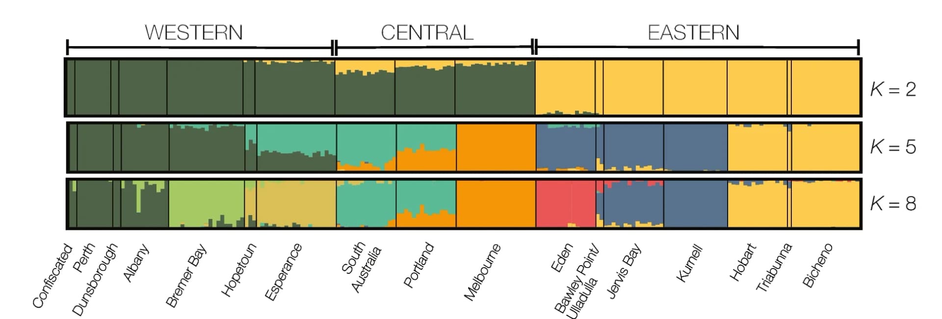 Open access visualization of Stacked Bar Plot, Genetic Assignment, Structure Analysis, SNP, Population Structure