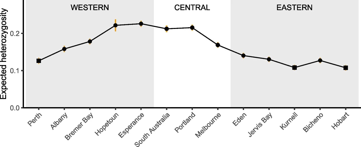 Open access visualization of Line Plot, Error Bars, Genetic Diversity, Seadragons, Heterozygosity