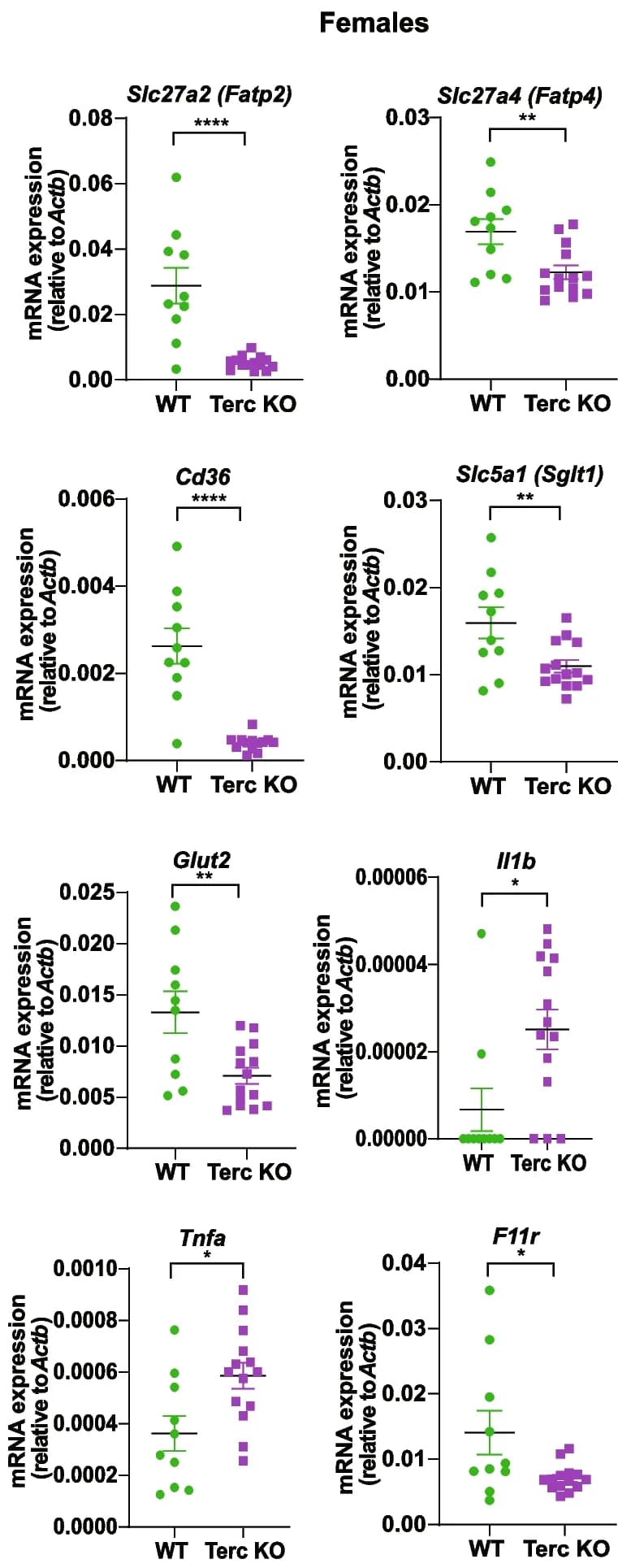 Open access visualization of Scatter Plot, Error Bars, qPCR, Fatty Acid Uptake, Glucose Uptake