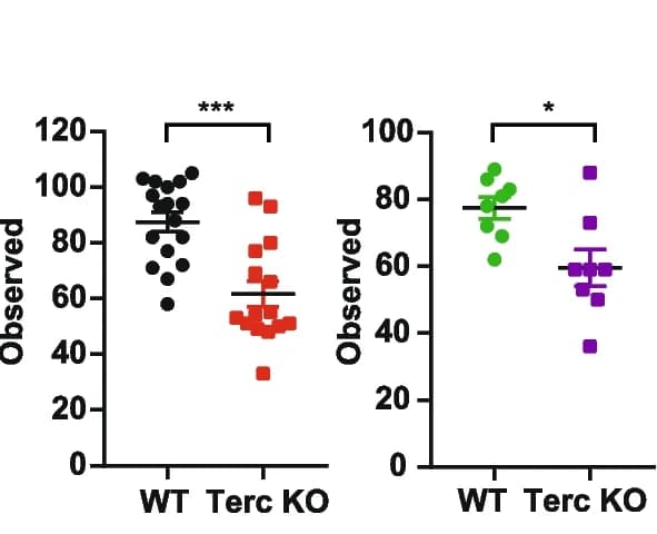 Open access visualization of Scatter Plot, Error Bars, Alpha diversity, Species richness, Microbiota analysis