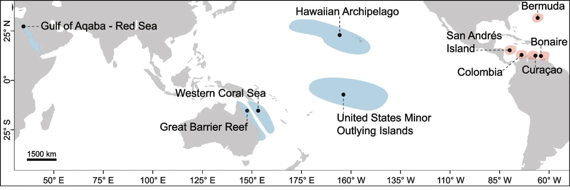 Open access visualization of Geo Map, Sampling Locations, Indo-Pacific, Western Atlantic, Leptoseris