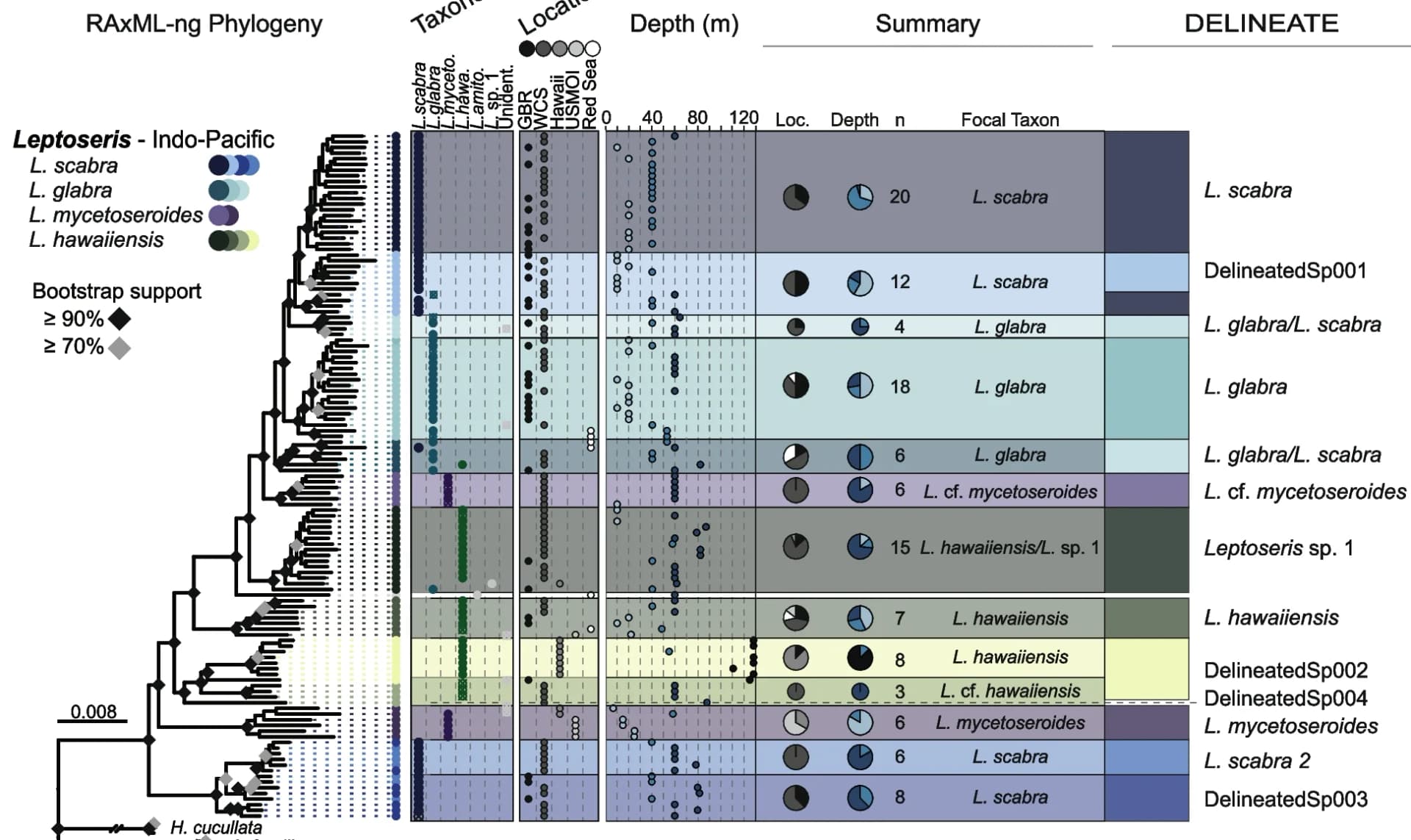 Open access visualization of Phylogenetic Tree, Scatter Plot, Pie Chart, Table Image, Leptoseris