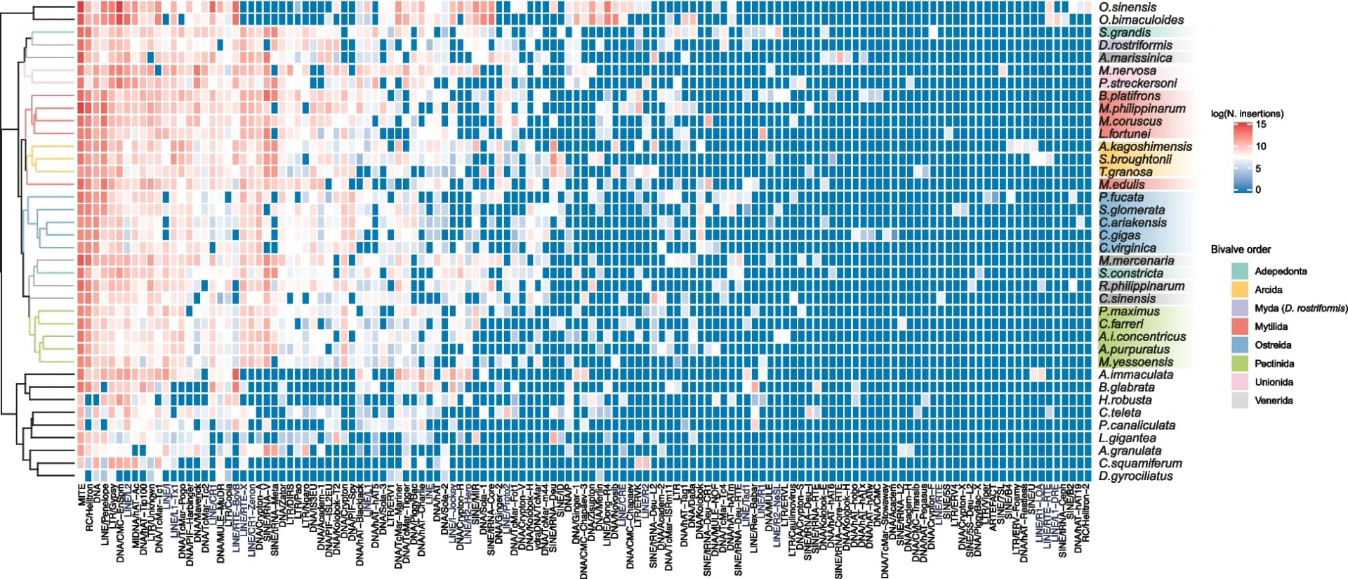 Open access visualization of Heatmap, Clustered, Hierarchical Cluster Analysis, Transposon, Insertion