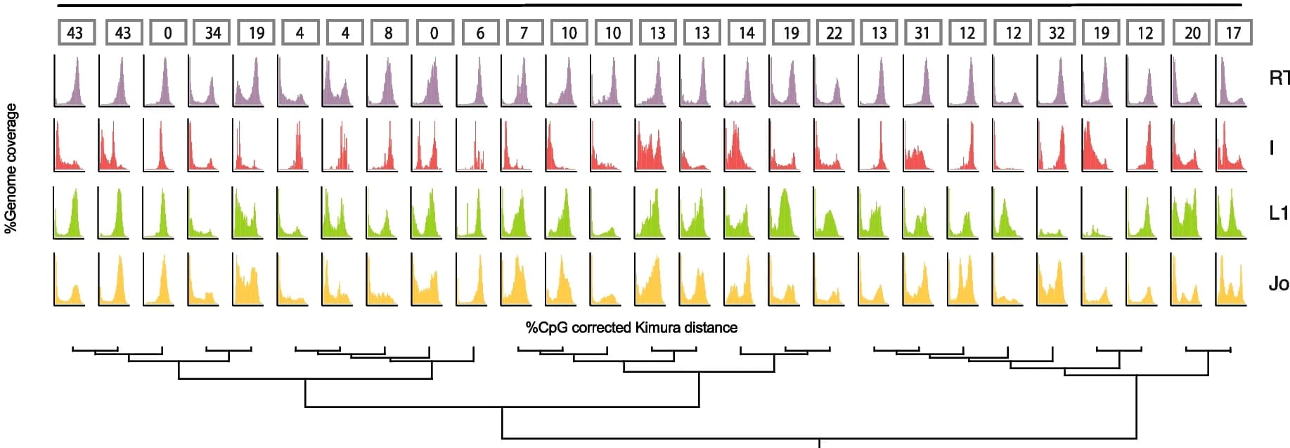 Open access visualization of Line Plot, Histogram, LINE Superfamily, Kimura Distance, Transposition Event