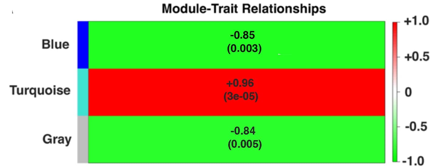 Open access visualization of Heatmap, Weighted Gene Correlation Network Analysis, Branchial Sac, Regeneration, Modules