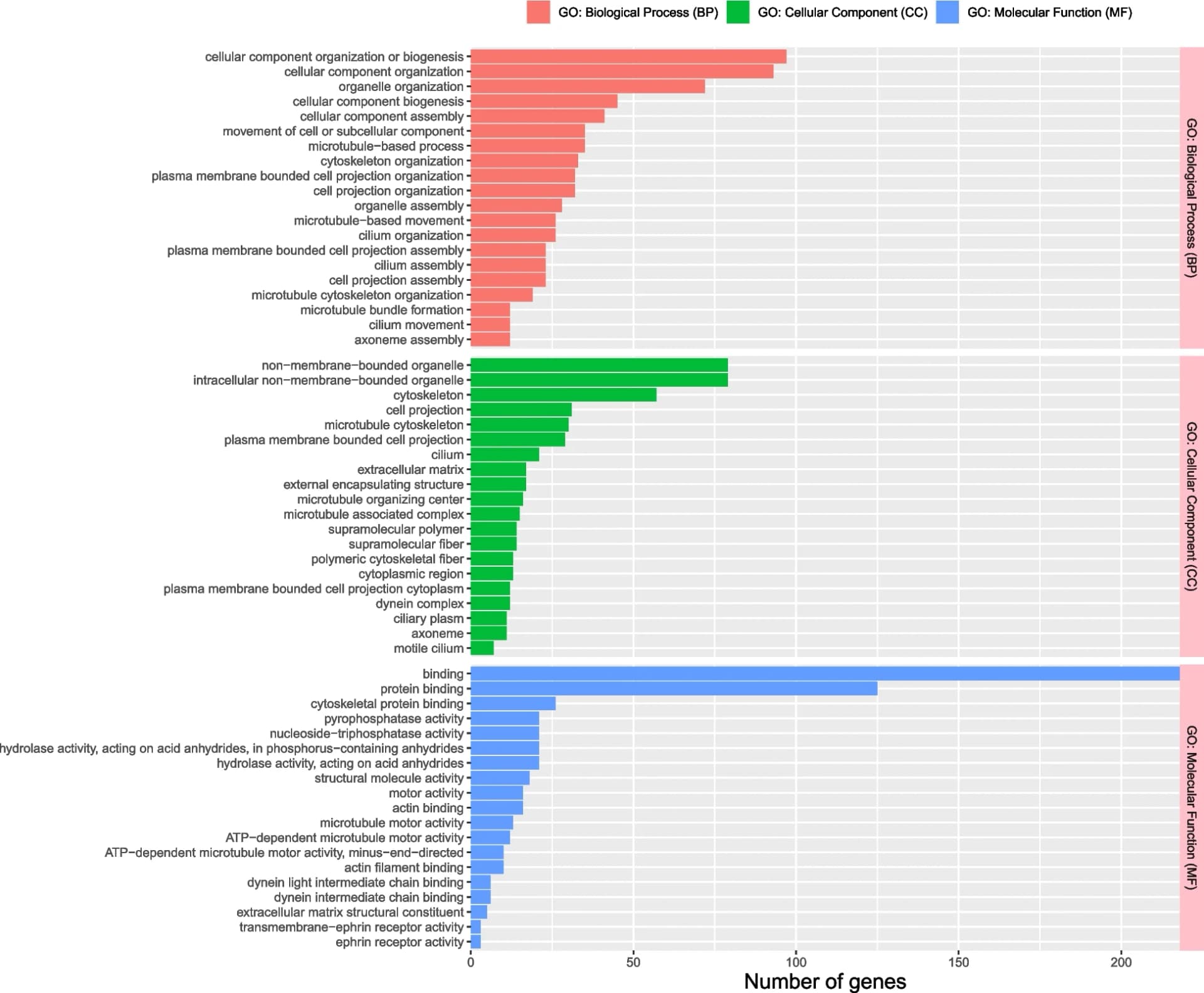Open access visualization of Bar Plot, Gene Ontology, GO Enrichment Analysis, Biological Process, Cellular Component