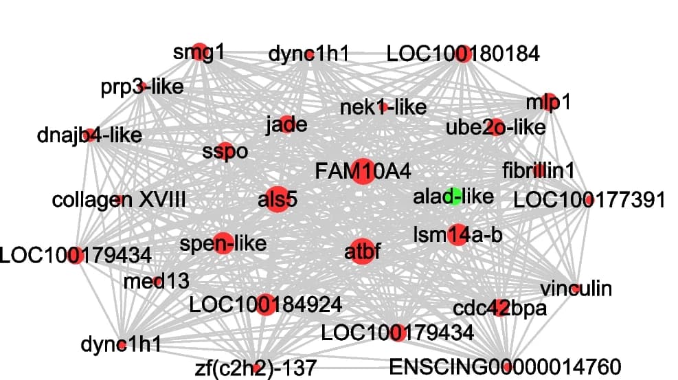Open access visualization of Network, Pathway, Hub Genes, Co-expression Networks, Cytoscape