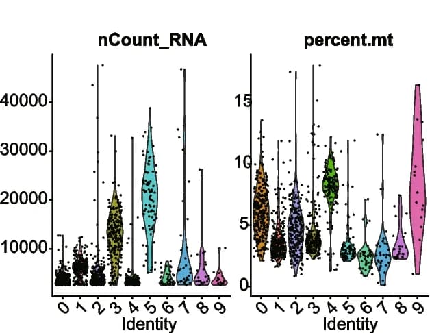Open access visualization of Violin Plot, nUMI, Mitochondrial Gene