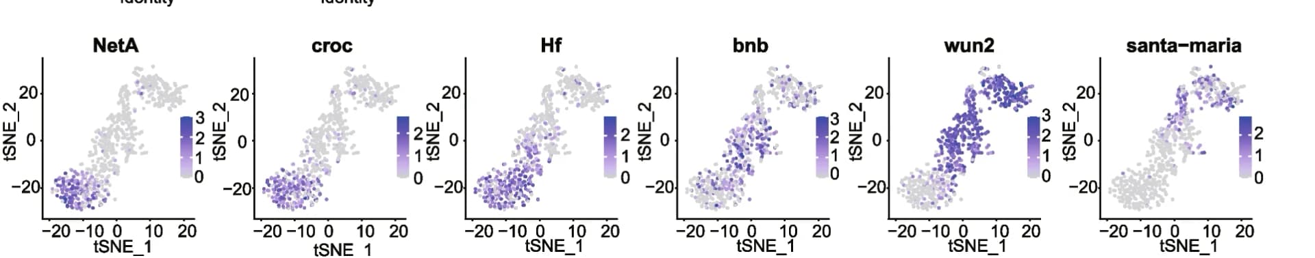 Open access visualization of Scatter Plot, UMAP, Marker Genes, t-SNE plot