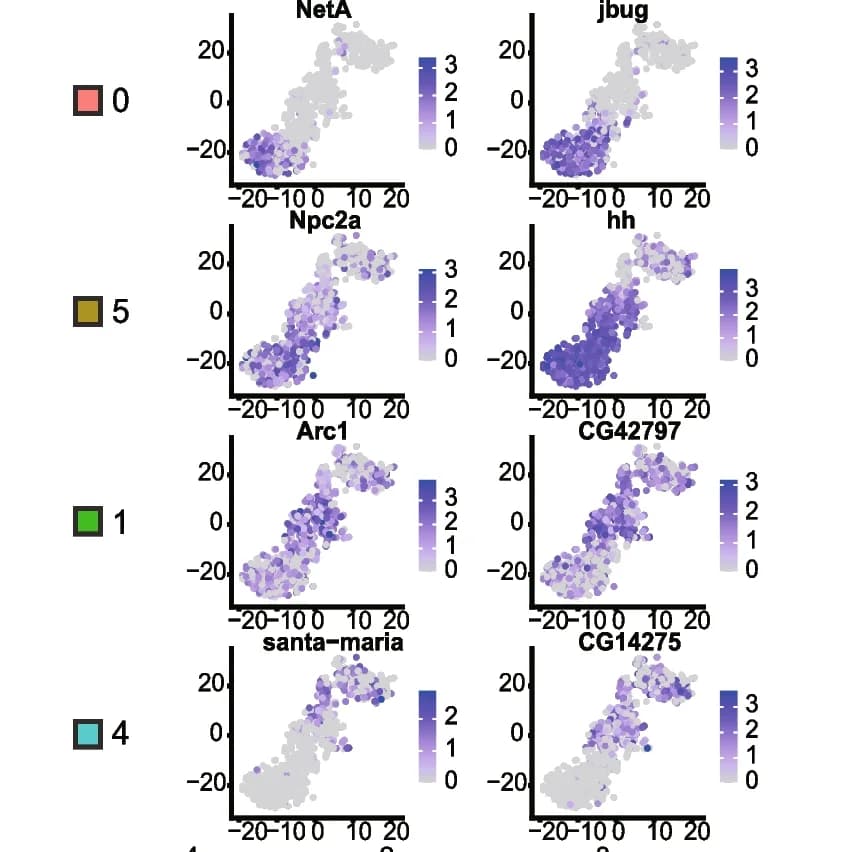 Open access visualization of Scatter Plot, UMAP, Maker Genes, t-SNE Plot, Selective Expression