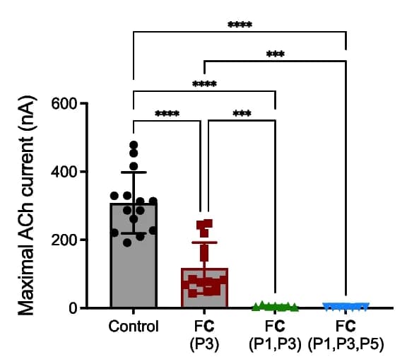 Open access visualization of Bar Plot, Error Bars, Concatemers, beta2 Subunit, S108C Substitution