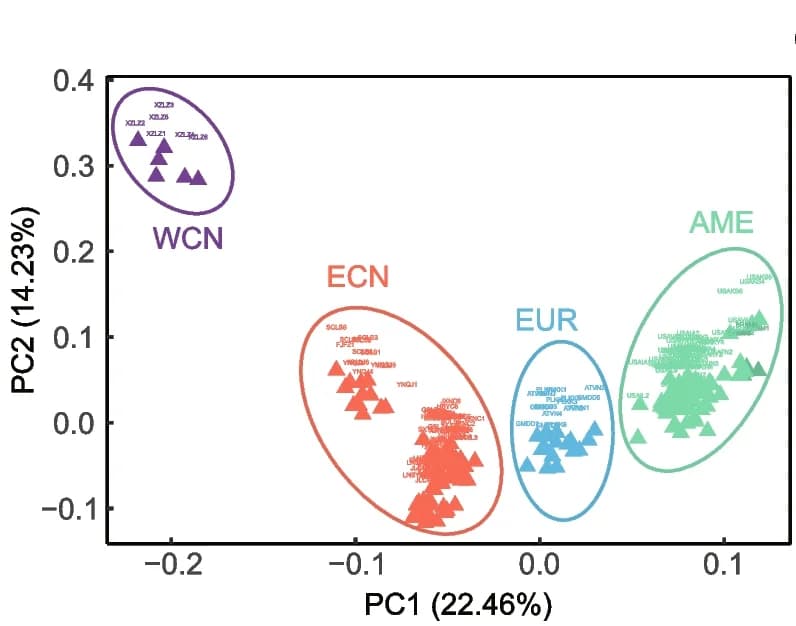 Open access visualization of Scatter Plot, PCA, Biplot, Principle components, Principal component analysis
