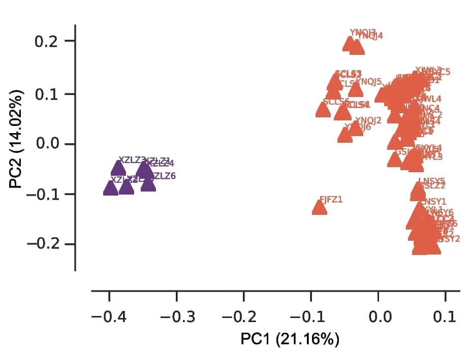 Open access visualization of Scatter Plot, PCA, Principal Component Analysis, Geographic Sample Populations, Super-populations