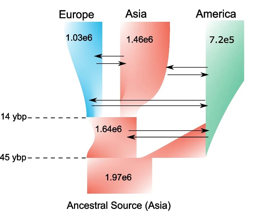 Open access visualization of Sankey, Evolutionary Demographic History, Global Invasion, Gene Flow, Population Size