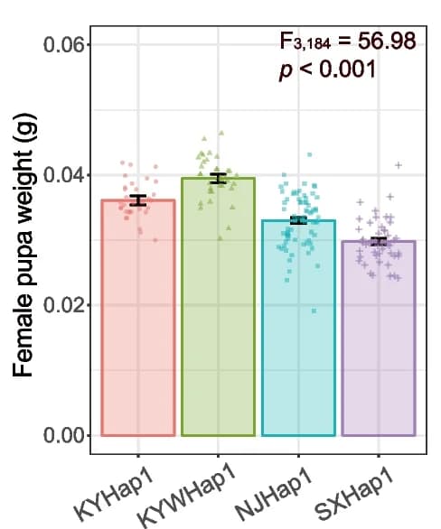 Open access visualization of Bar Plot, Error Bars, Life history traits, Harmonia axyridis, Hap-1