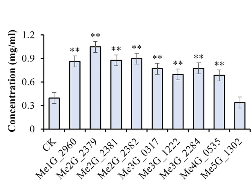 Open access visualization of Bar Plot, Error Bars, Phenylacetaldehyde, PAAS genes, Concentration