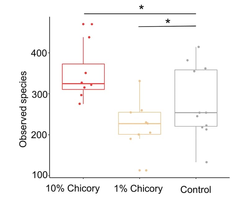 Open access visualization of Box Plot, Scatter Plot, Alpha Diversity, Chicory, Mice