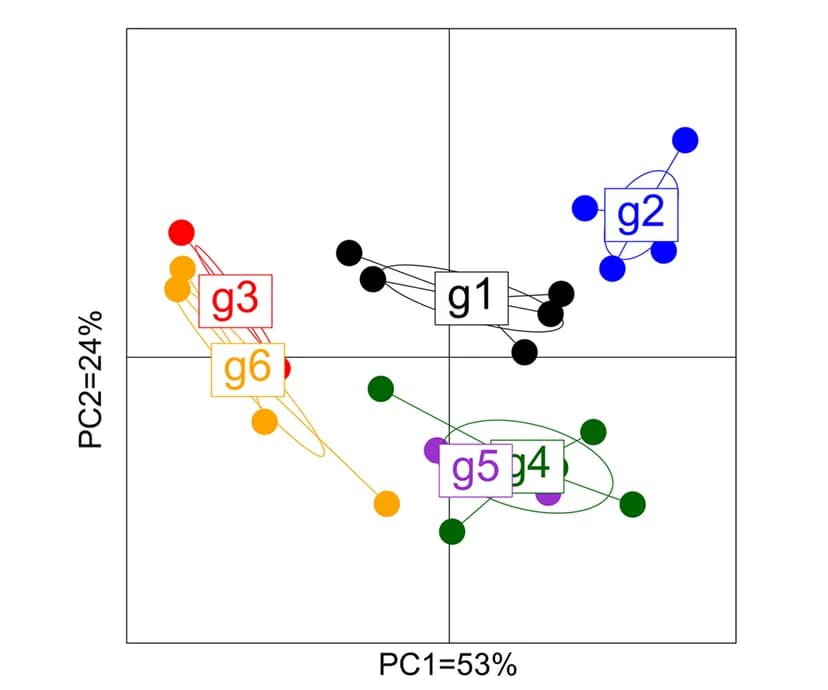 Open access visualization of Scatter Plot, PCA, Network, Beta Diversity, Unweighted UniFrac