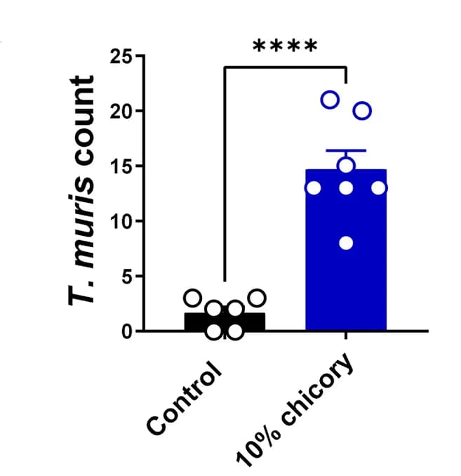 Open access visualization of Bar Plot, Scatter Plot, Error Bars, Worm Burdens, Trickle Infection