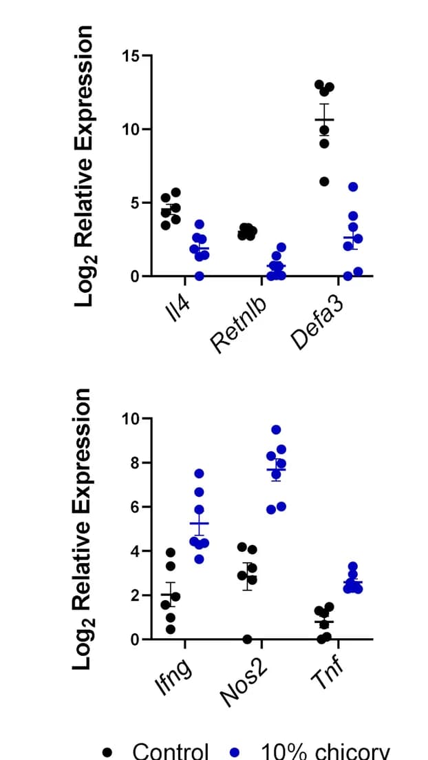 Open access visualization of Scatter Plot, Error Bars, Gene Expression, Caecal Tissue