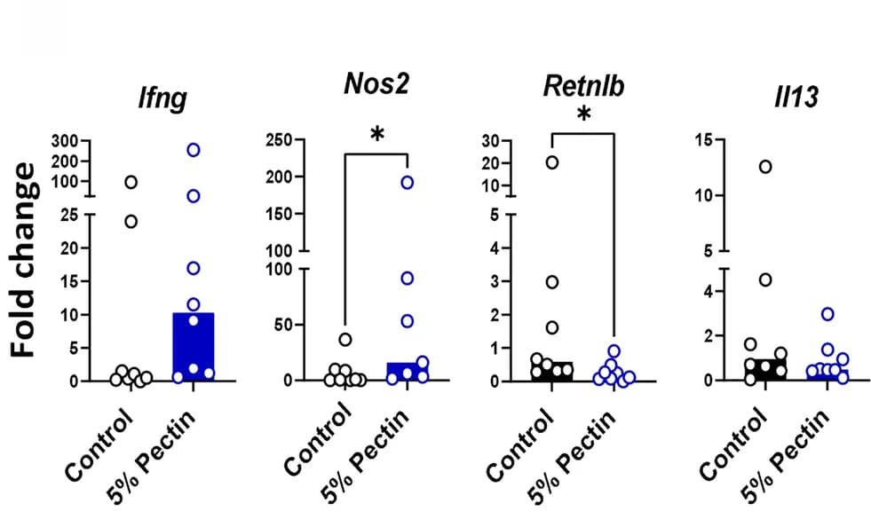Open access visualization of Scatter Plot, Bar Plot, Gene Expression, Caecal Tissue, Fold Changes