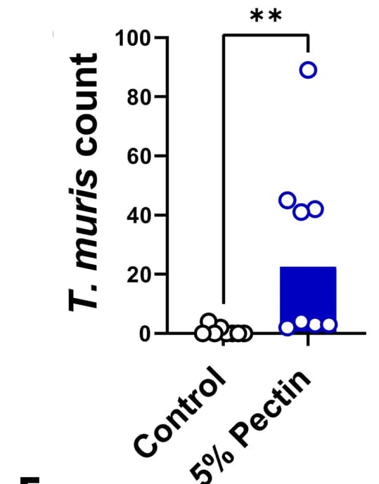Open access visualization of Bar Plot, Scatter Plot, Worm Burdens, Median Values