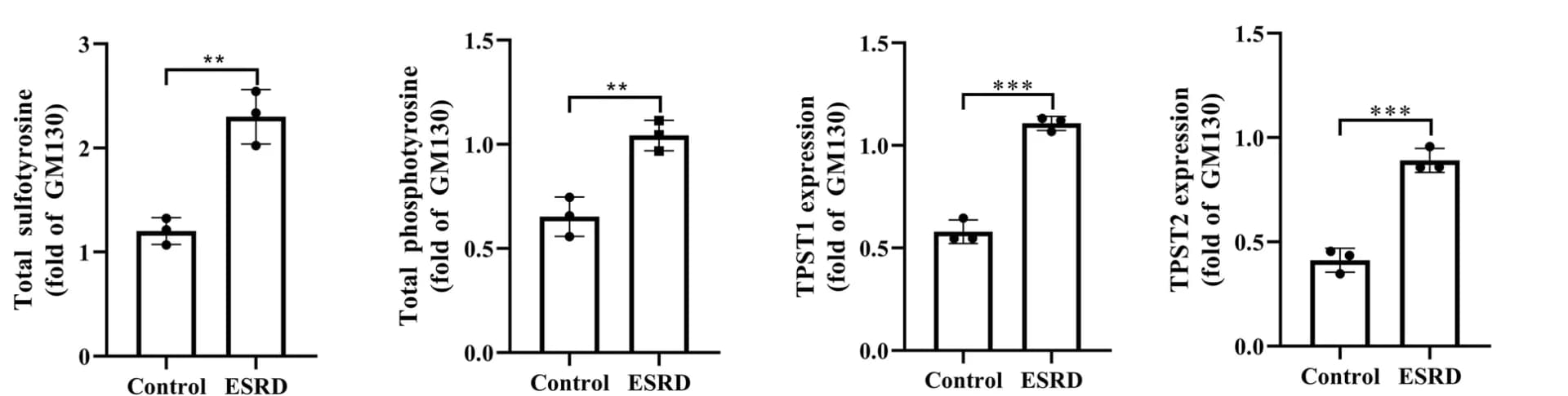 Open access visualization of Bar Plot, Error Bars, Band Densitometry, Sulfotyrosine, Phosphotyrosine