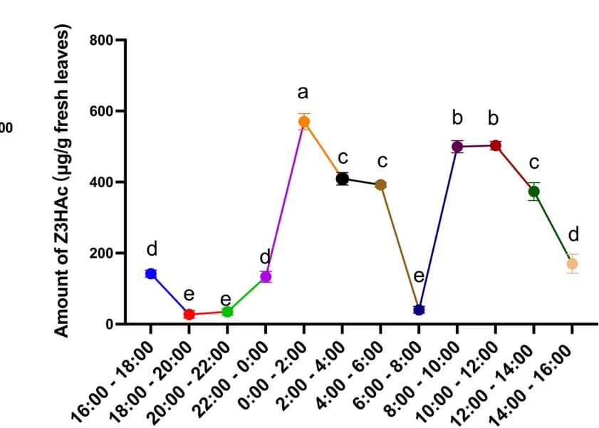 Open access visualization of Line Plot, Error Bars, (Z)-3-hexenyl-acetate, Emission, Maize