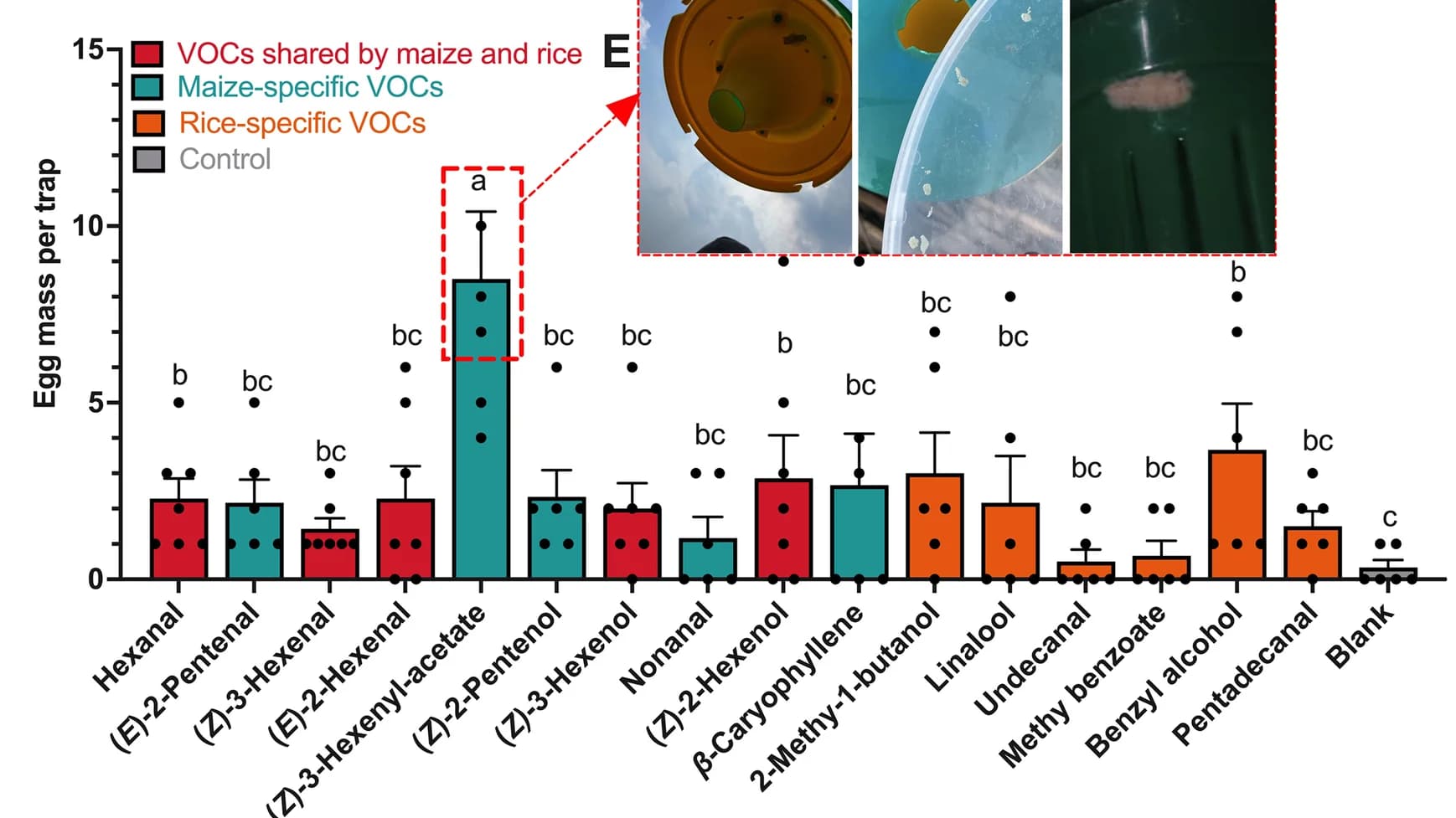 Open access visualization of Bar Plot, Error Bars, Photo, Egg masses, S. frugiperda females