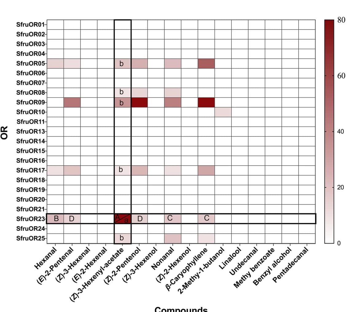 Open access visualization of Heatmap, Olfactory Receptors, Inward Current, Volatile Organic Compounds