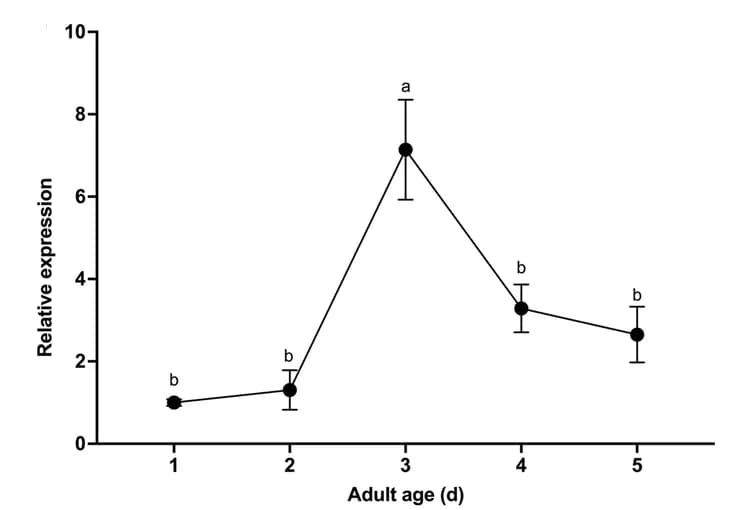 Open access visualization of Line Plot, Error Bars, SfruOR23, Time-course, Expression patterns