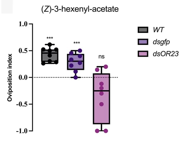 Open access visualization of Box Plot, Scatter Plot, Oviposition preference, Wild type, dsgfp