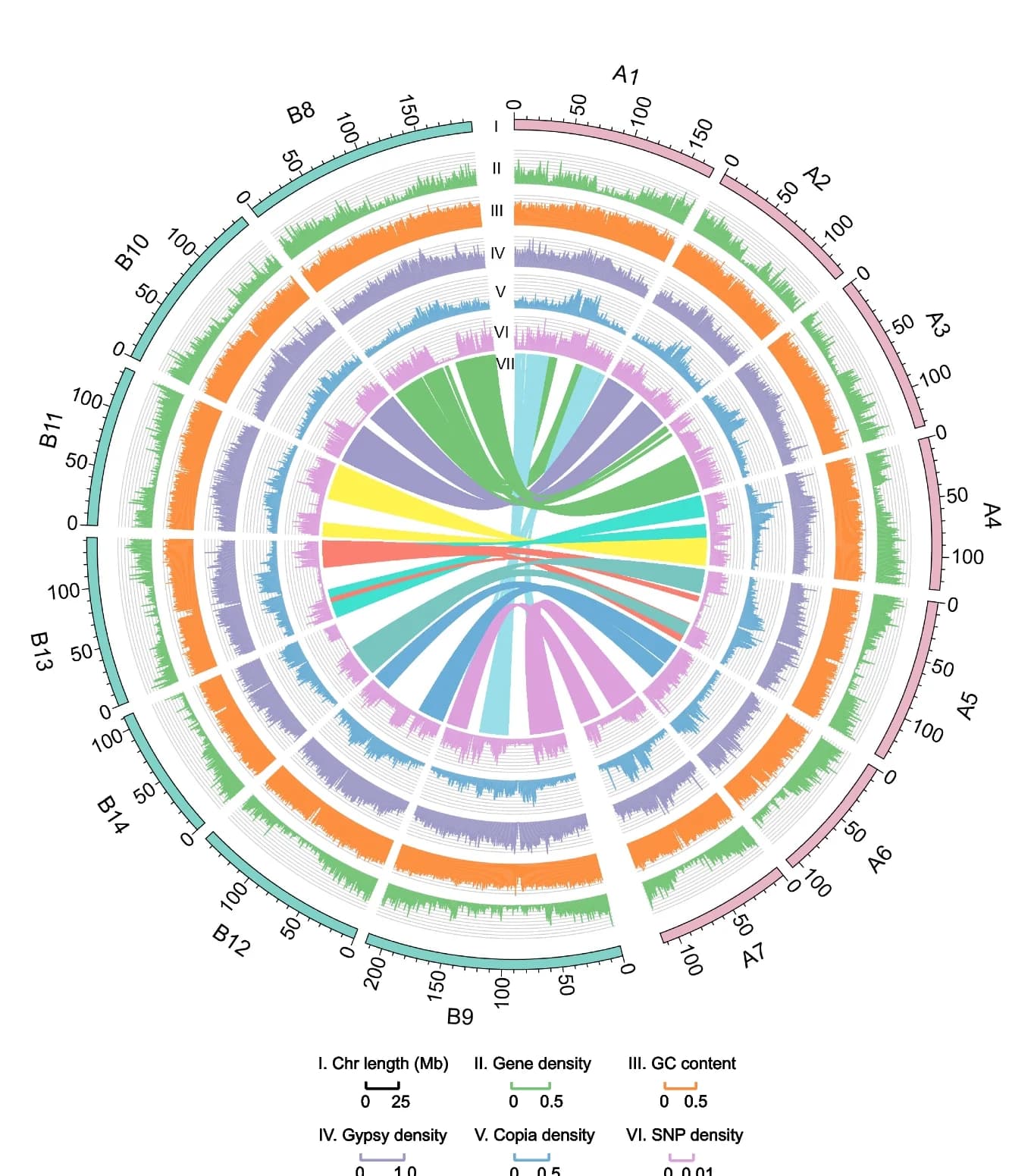 Open access visualization of Chord, Line Plot, Bar Plot, Histogram, Circos representation
