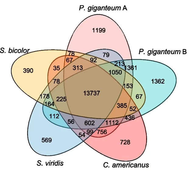 Open access visualization of Venn Diagram, Gene Families, Plant Species