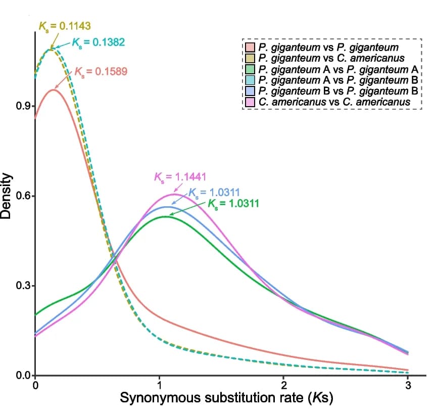 Open access visualization of Line Plot, Density Plot, Synonymous Substitution Rates, Whole-Genome Duplication, Species Divergence Time