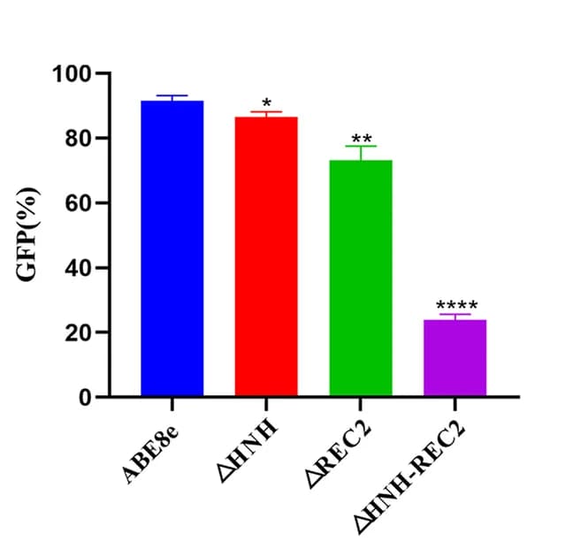 Open access visualization of Bar Plot, Error Bars, Editing Efficiency, ABE8e, Deletion Variants