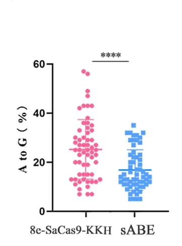 Open access visualization of Scatter Plot, Error Bars, A-to-G Editing Efficiency, sABE, 8e-SaCas9-KKH