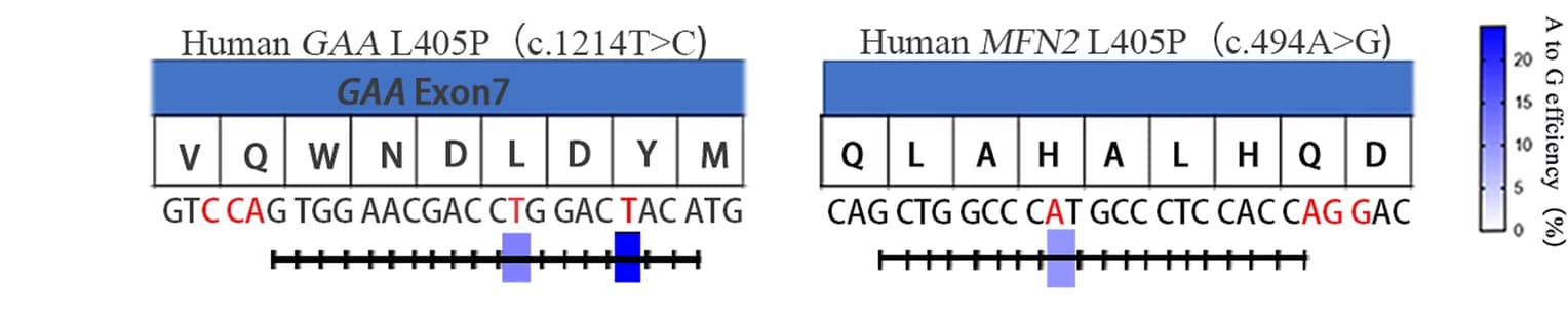 Open access visualization of Illustration, sgRNAs, Sanger sequencing, Editing efficiency, Heatmaps
