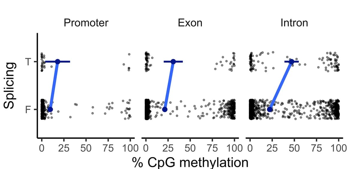 Open access visualization of Scatter Plot, Line Plot, Transcript Variants, DNA Methylation, Promoter