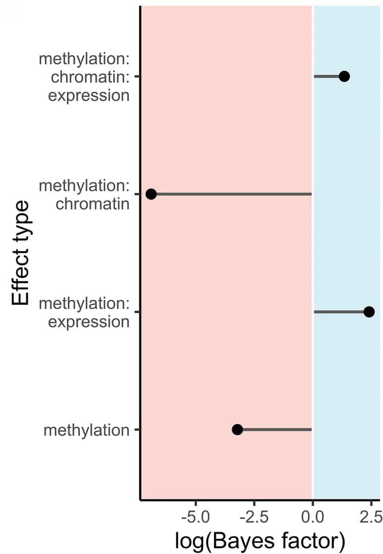 Open access visualization of Forest Plot, Bayes Factors, Intron Methylation, TSS Accessibility, Gene Expression