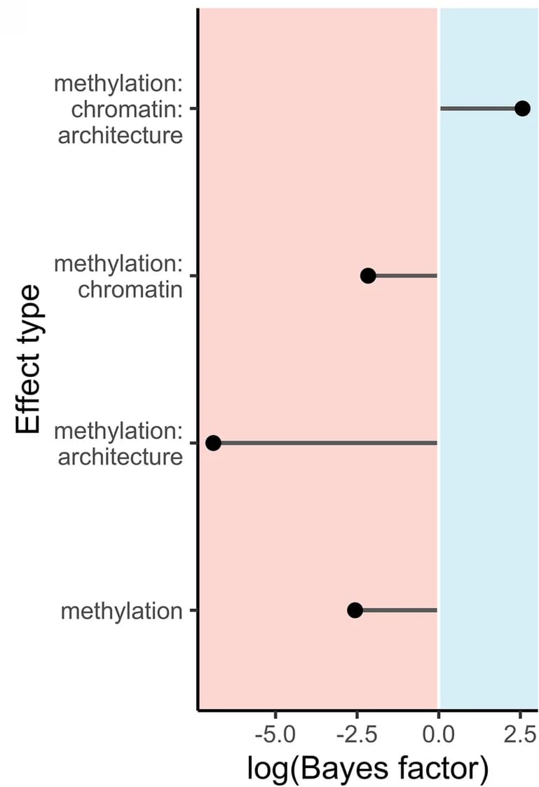 Open access visualization of Scatter Plot, Forest Plot, Bayes Factors, Exon Methylation, Exon Accessibility