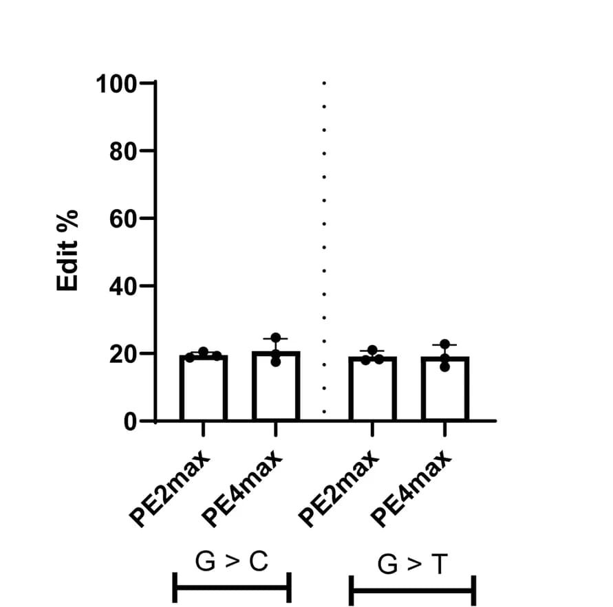 Open access visualization of Bar Plot, Error Bars, G > C Conversion, G > T Conversion, SCN1A