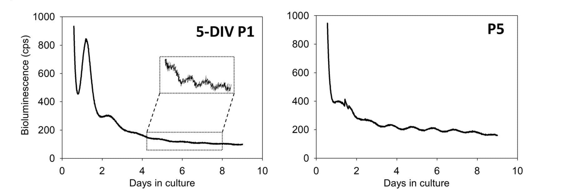 Open access visualization of Line Plot, Retinal Explants, Bioluminescence, PER2::Luc, Oscillations