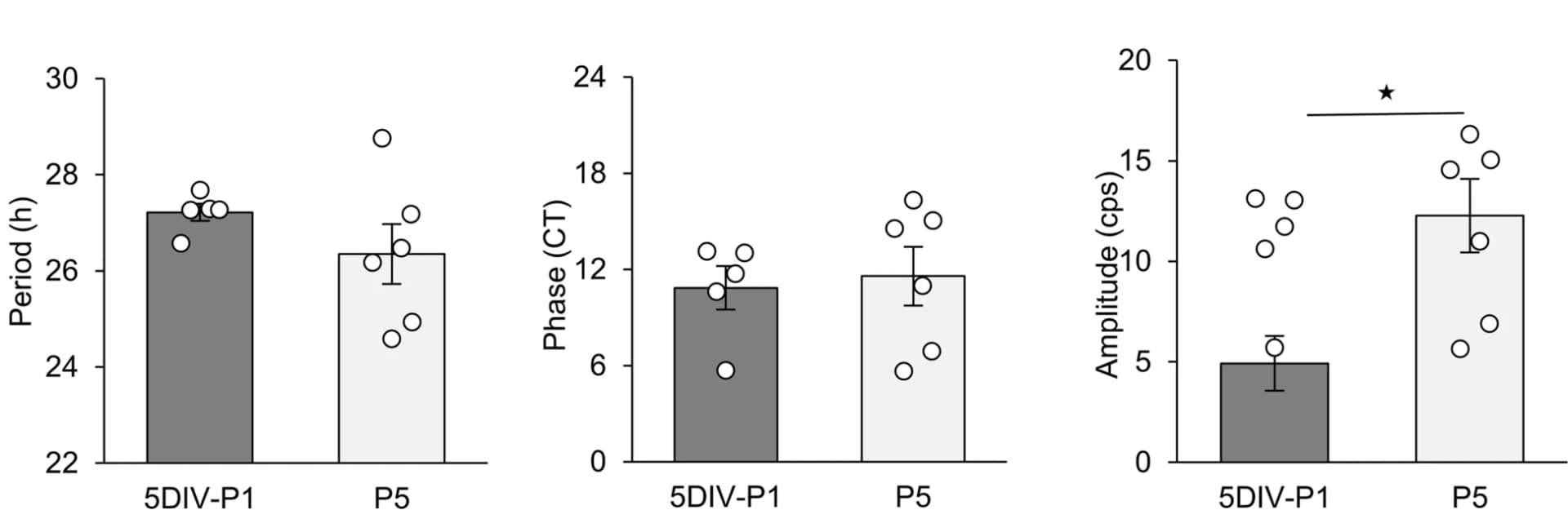 Open access visualization of Bar Plot, Error Bars, Scatter Plot, Retinal Explants, PER2::Luc