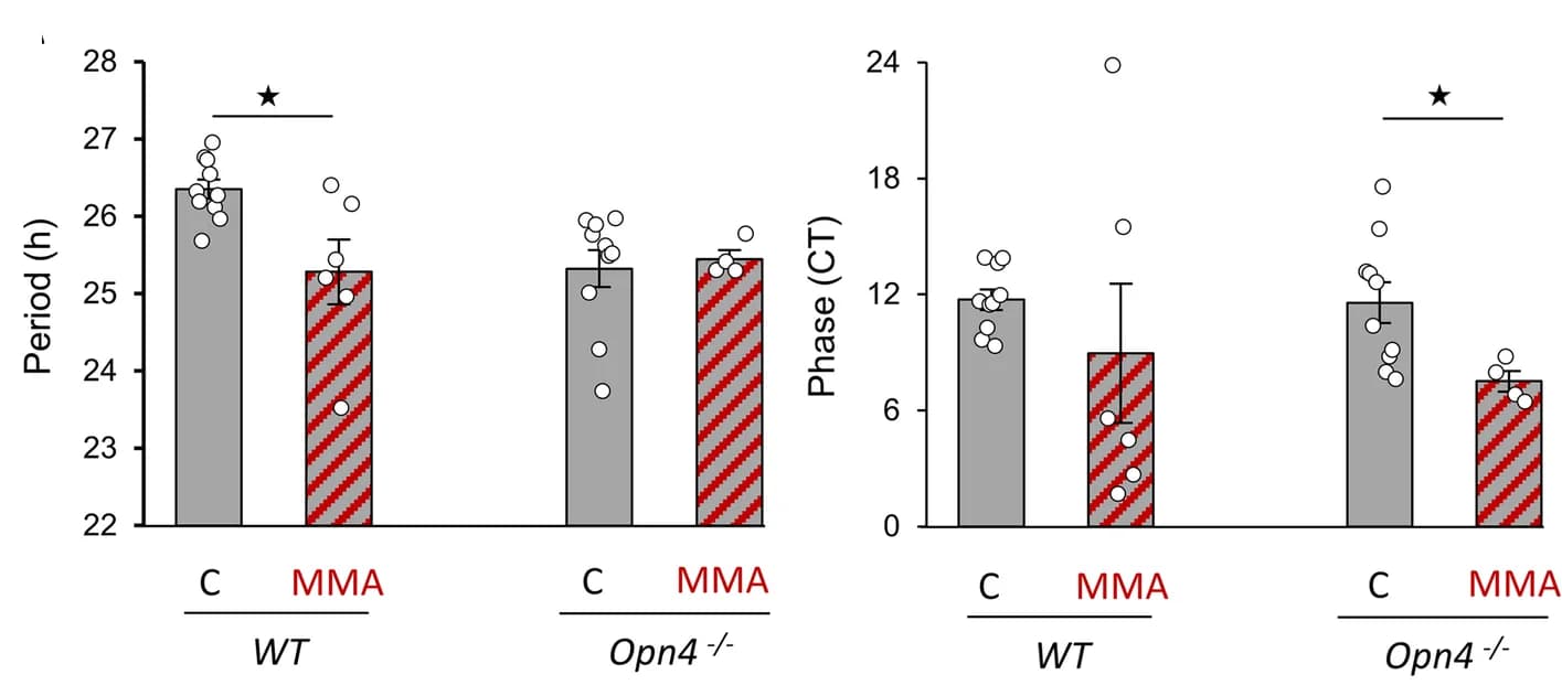 Open access visualization of Bar Plot, Error Bars, Scatter Plot, Retina, Mecamylamine Acid