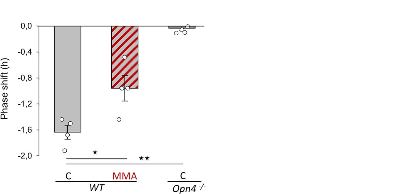 Open access visualization of Bar Plot, Error Bars, Scatter Plot, Light-induced phase shift, Retina