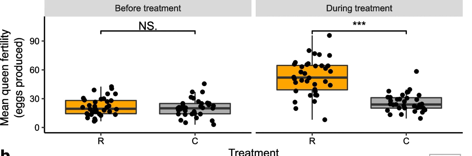 Open access visualization of Box Plot, Scatter Plot, Queen Fertility, Eggs Produced, Treatment