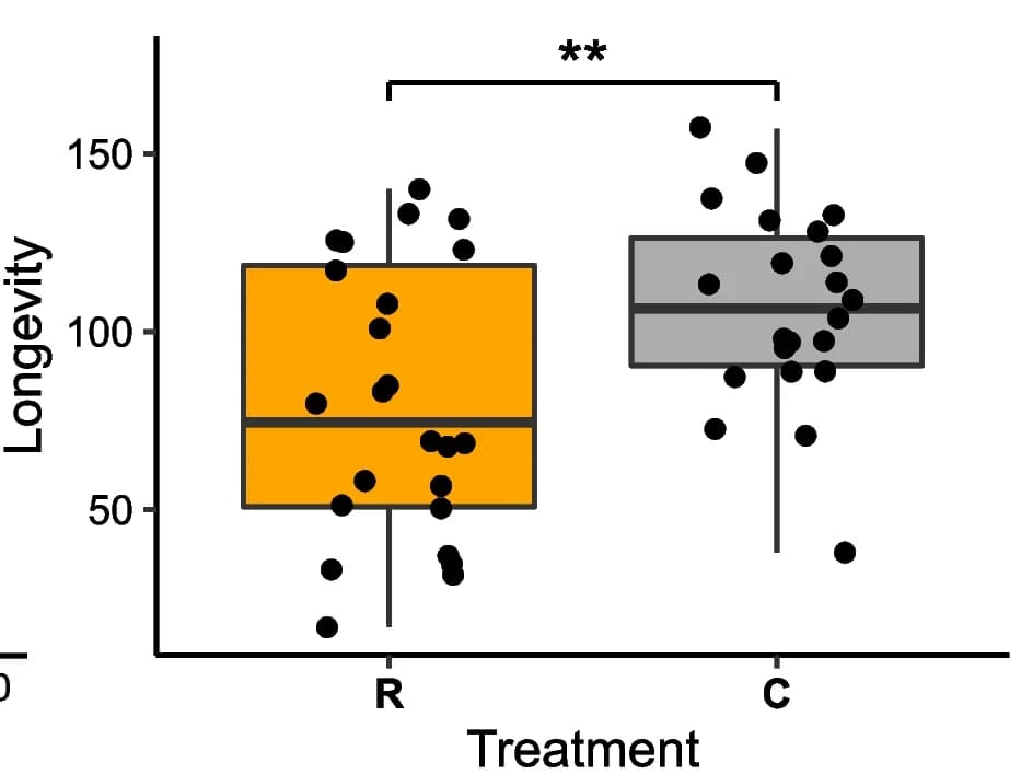 Open access visualization of Box Plot, Scatter Plot, Longevity, Queens, Eggs Removed
