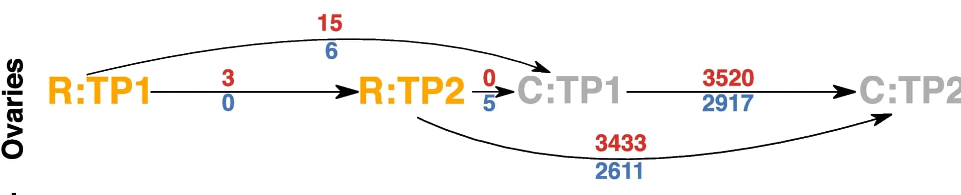 Open access visualization of Pathway, Sankey, mRNA-seq, Gene Expression Profiles, Bombus terrestris